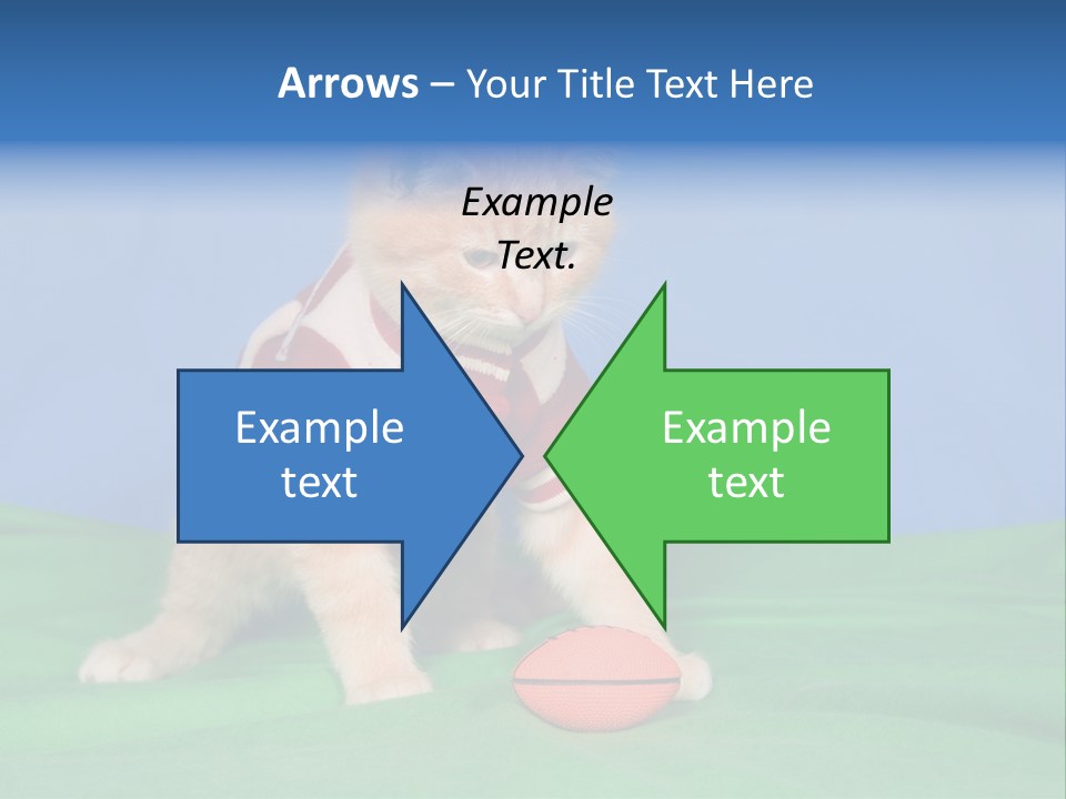 Football Humorous Mammal PowerPoint Template