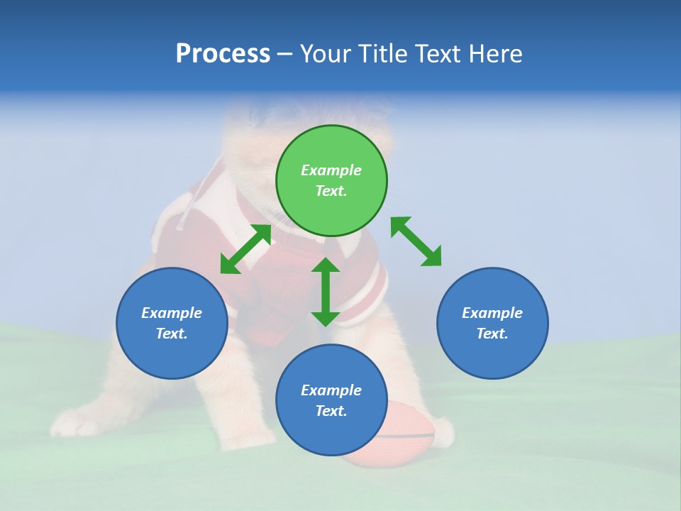 Football Humorous Mammal PowerPoint Template