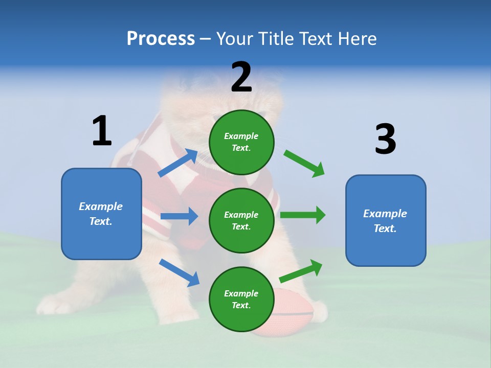 Football Humorous Mammal PowerPoint Template