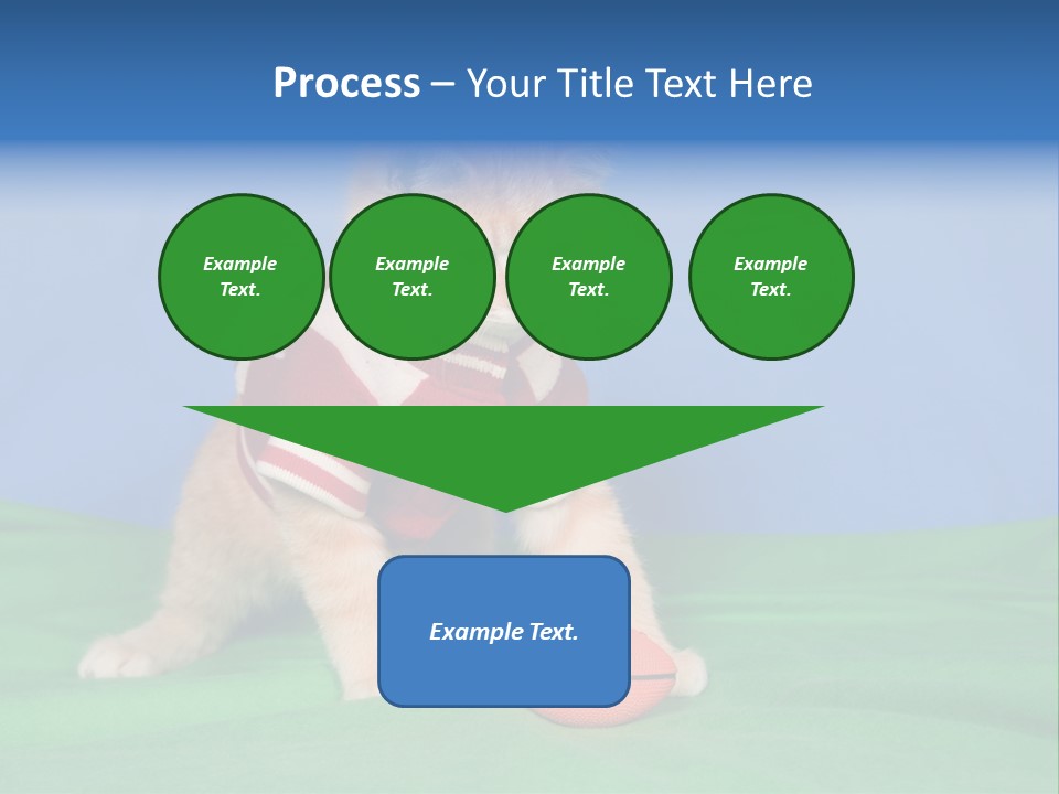 Football Humorous Mammal PowerPoint Template