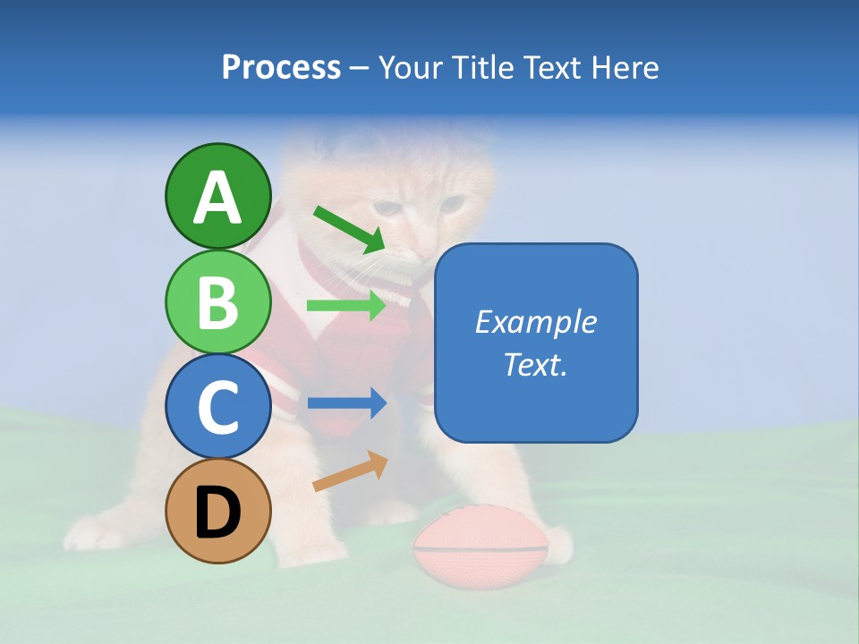 Football Humorous Mammal PowerPoint Template