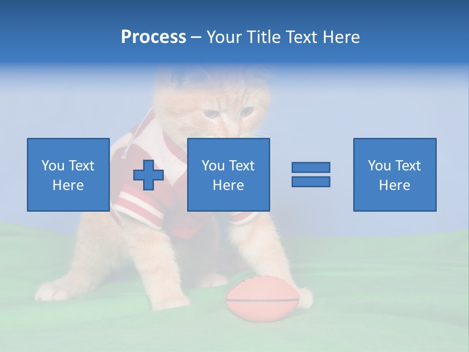 Football Humorous Mammal PowerPoint Template