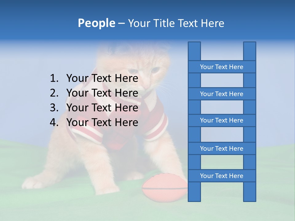 Football Humorous Mammal PowerPoint Template