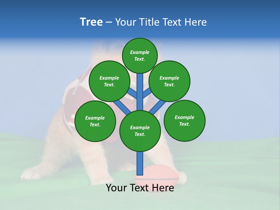 Football Humorous Mammal PowerPoint Template