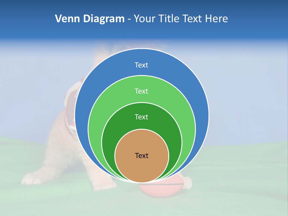 Football Humorous Mammal PowerPoint Template