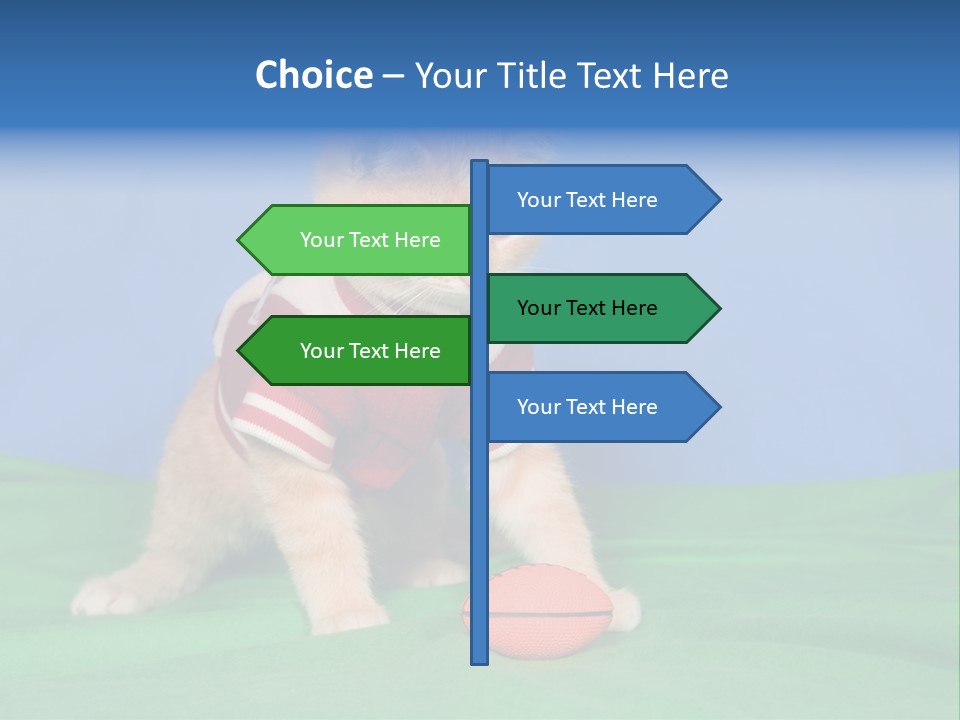 Football Humorous Mammal PowerPoint Template