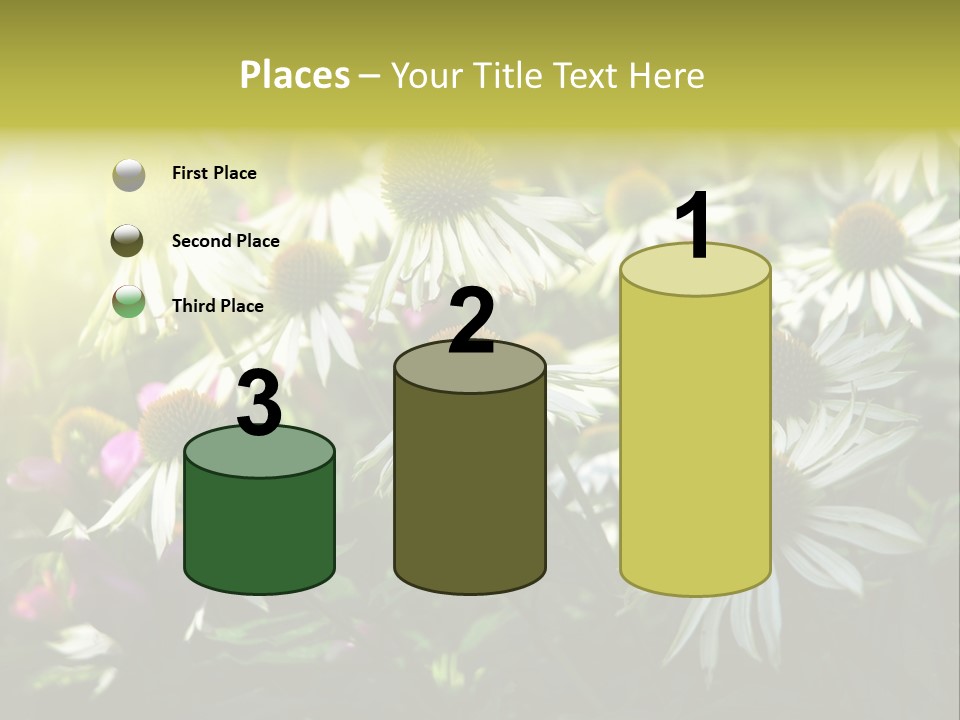 Foliage Blossoms White PowerPoint Template