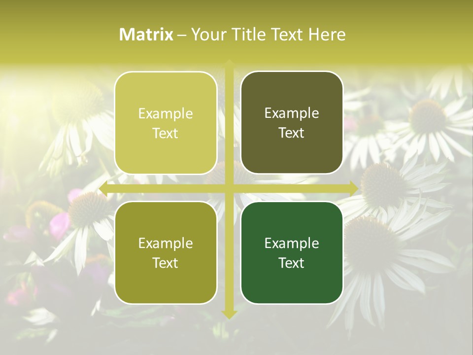 Foliage Blossoms White PowerPoint Template