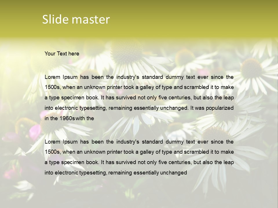 Foliage Blossoms White PowerPoint Template