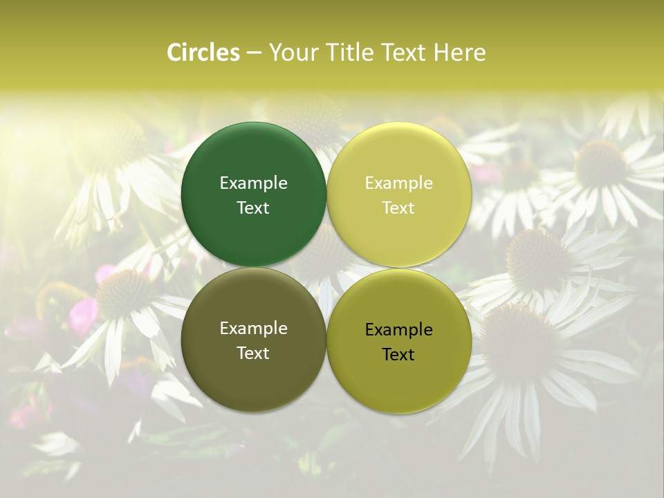 Foliage Blossoms White PowerPoint Template