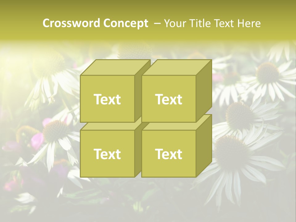 Foliage Blossoms White PowerPoint Template