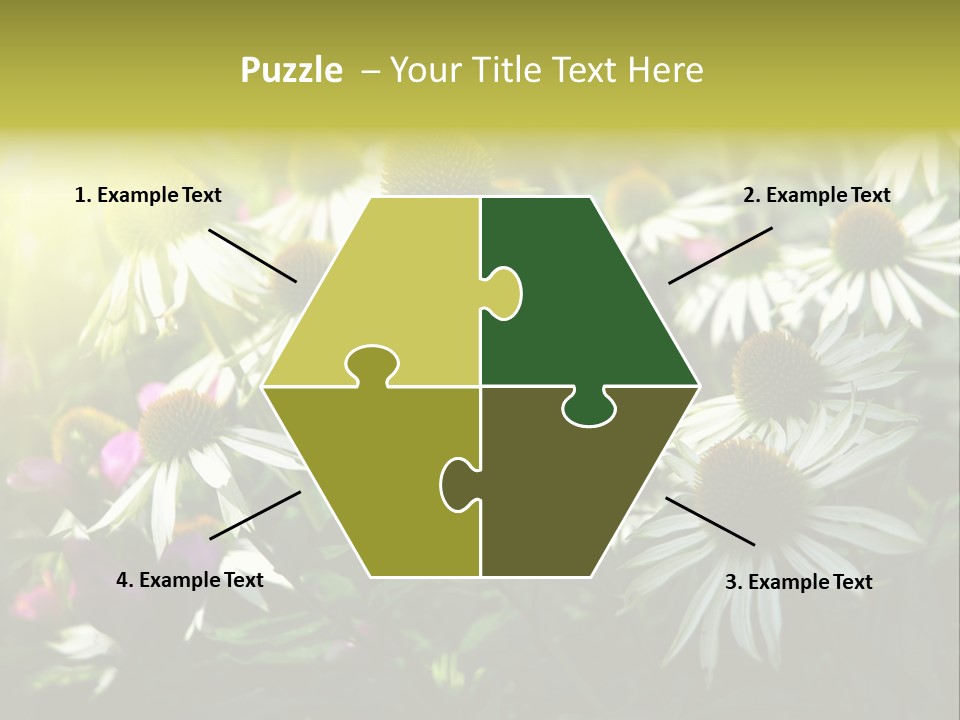 Foliage Blossoms White PowerPoint Template