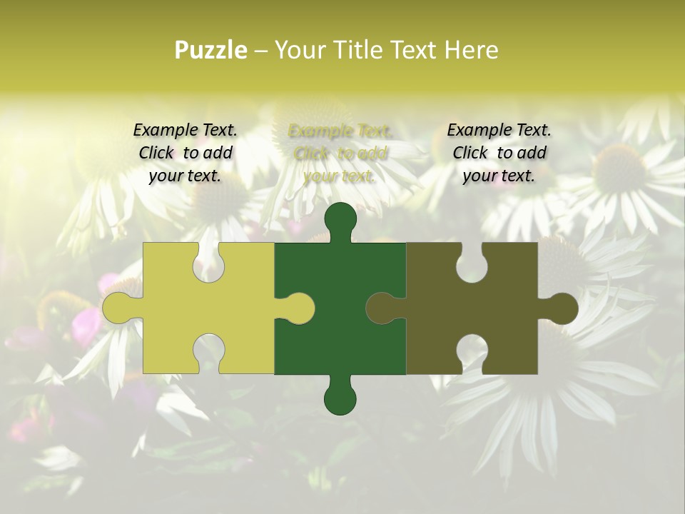 Foliage Blossoms White PowerPoint Template