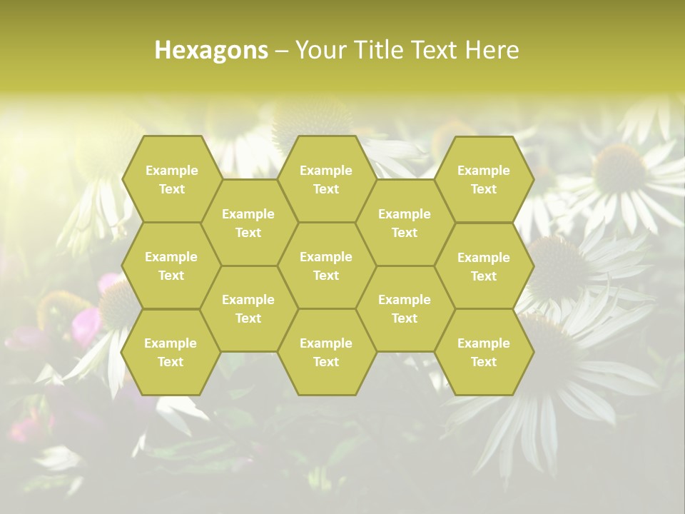 Foliage Blossoms White PowerPoint Template