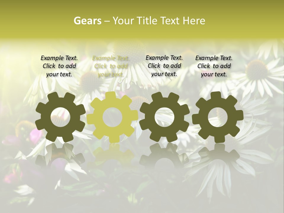 Foliage Blossoms White PowerPoint Template