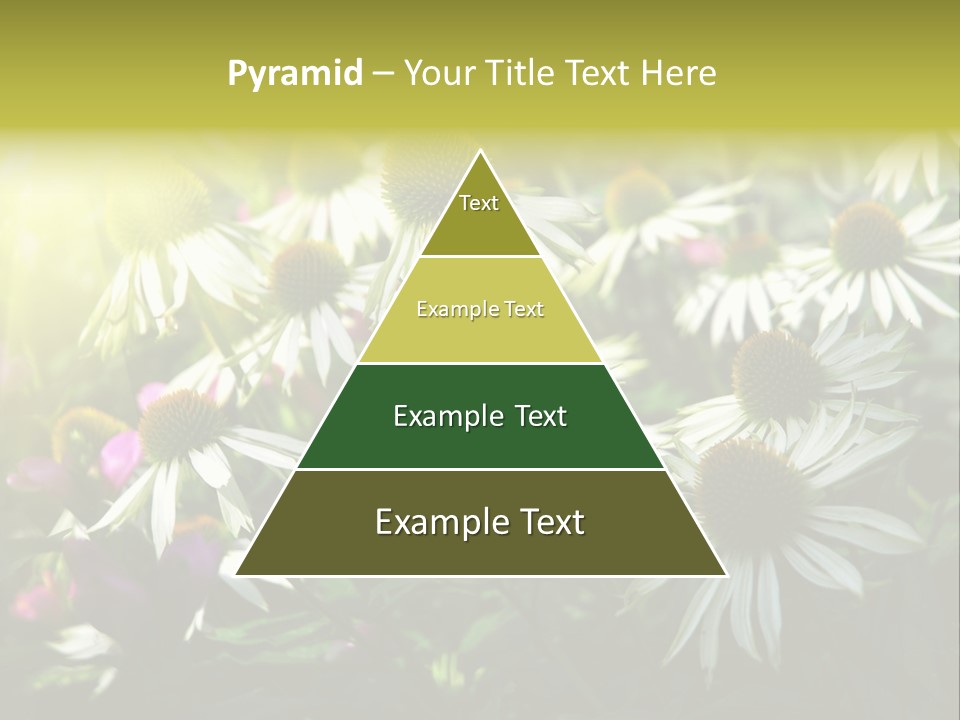 Foliage Blossoms White PowerPoint Template