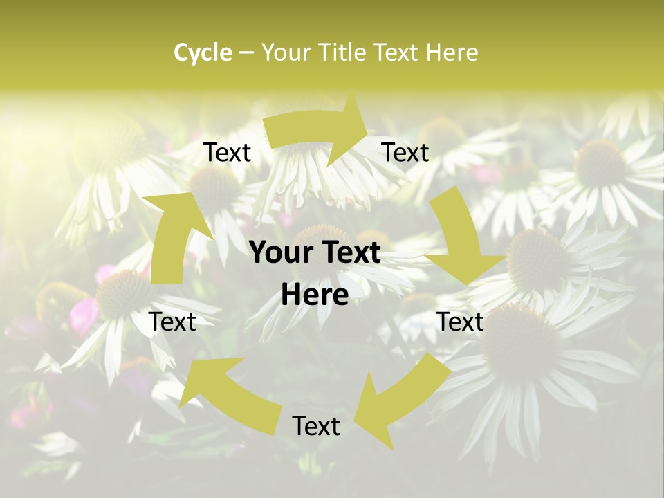 Foliage Blossoms White PowerPoint Template