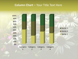 Foliage Blossoms White PowerPoint Template