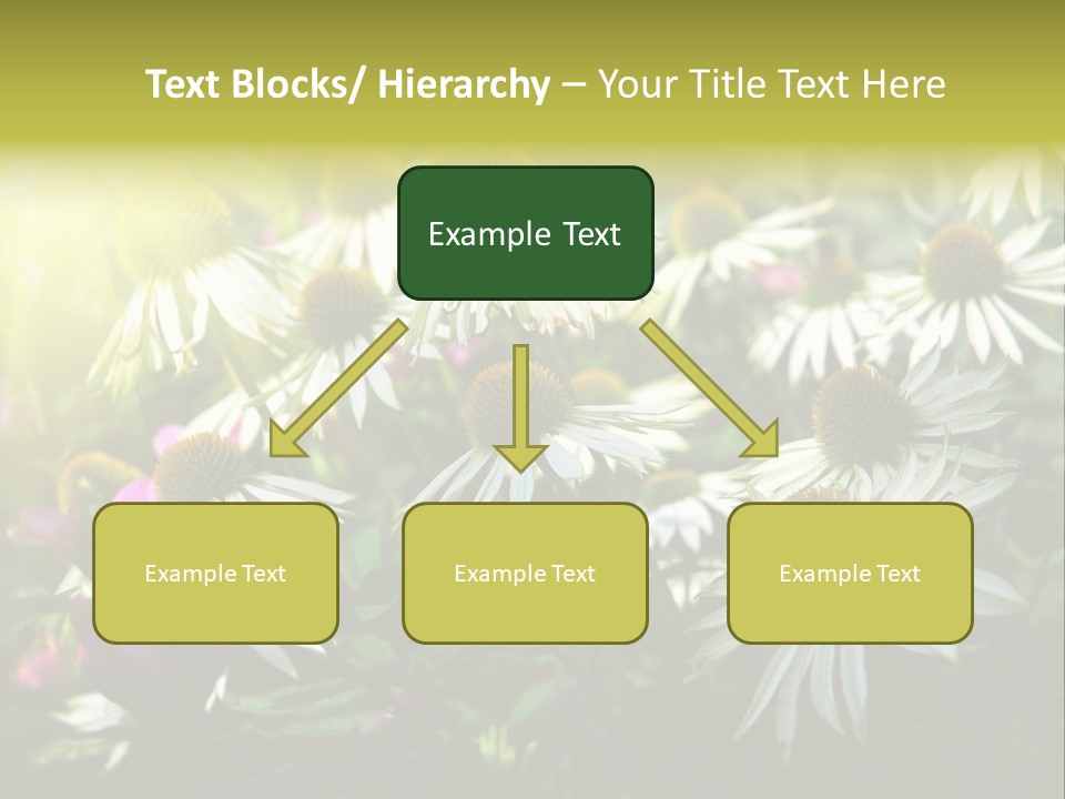 Foliage Blossoms White PowerPoint Template