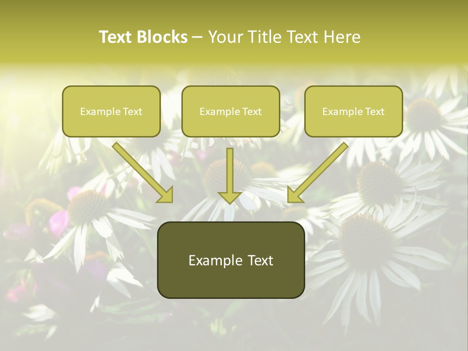 Foliage Blossoms White PowerPoint Template