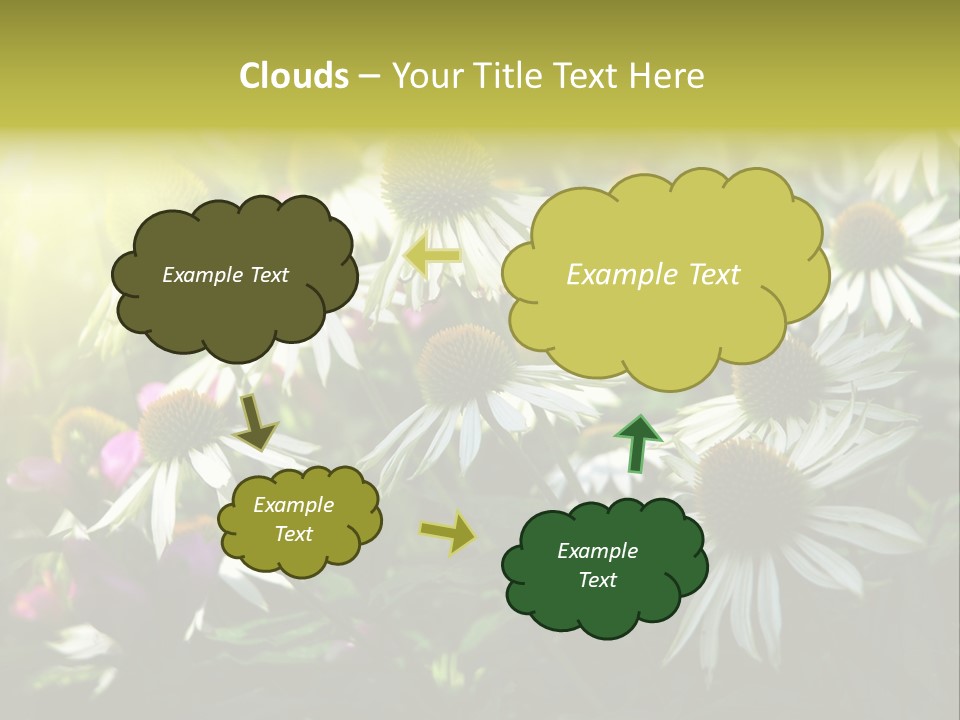 Foliage Blossoms White PowerPoint Template