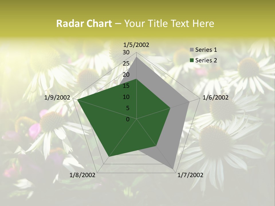 Foliage Blossoms White PowerPoint Template