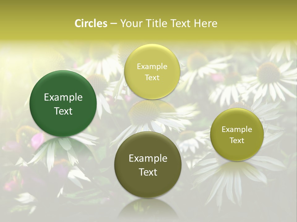 Foliage Blossoms White PowerPoint Template