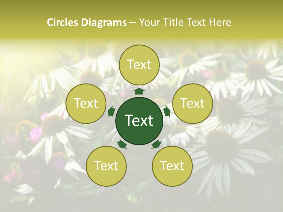 Foliage Blossoms White PowerPoint Template