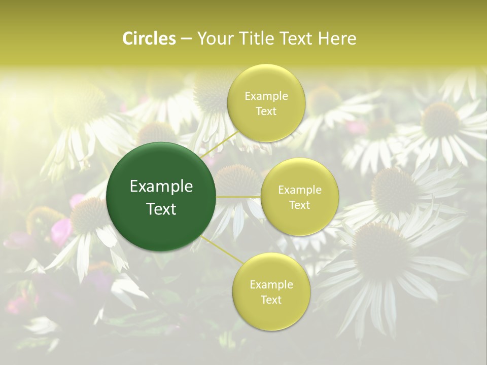 Foliage Blossoms White PowerPoint Template