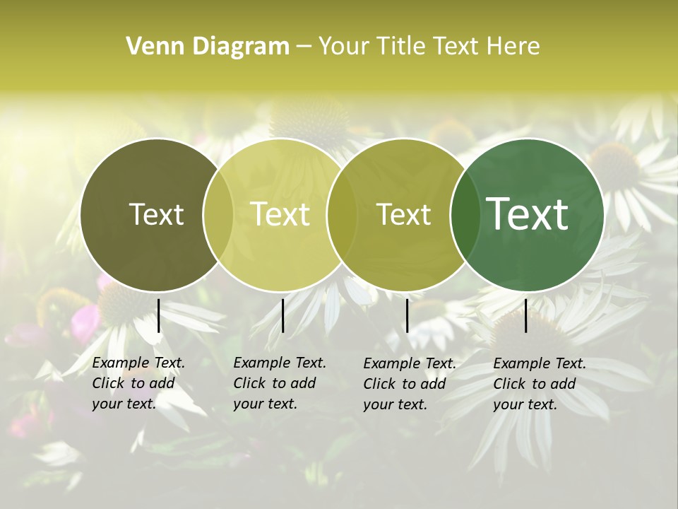 Foliage Blossoms White PowerPoint Template