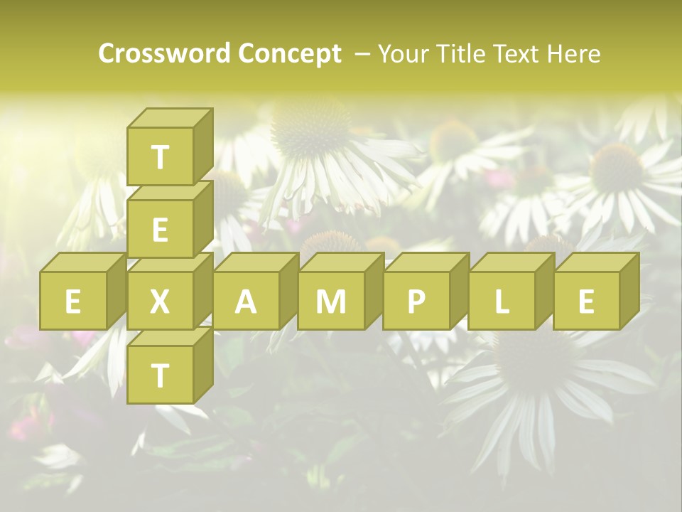 Foliage Blossoms White PowerPoint Template