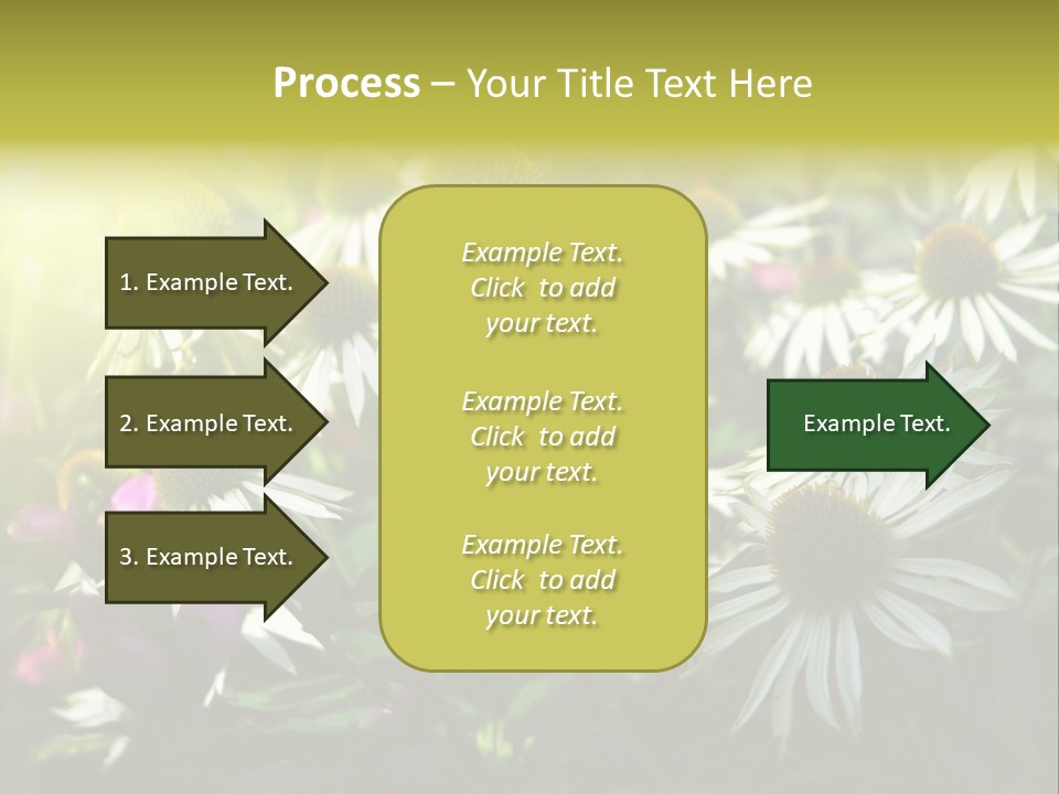 Foliage Blossoms White PowerPoint Template