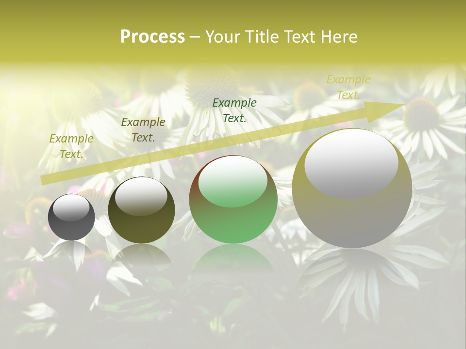 Foliage Blossoms White PowerPoint Template