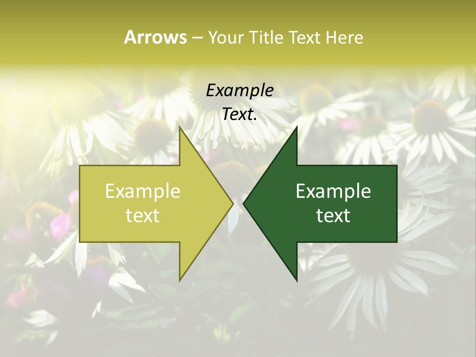 Foliage Blossoms White PowerPoint Template