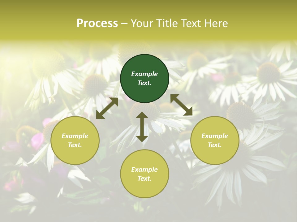 Foliage Blossoms White PowerPoint Template