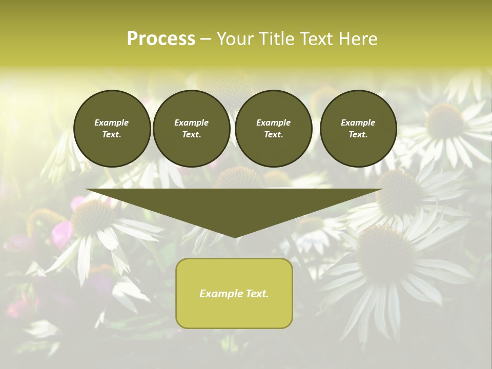 Foliage Blossoms White PowerPoint Template