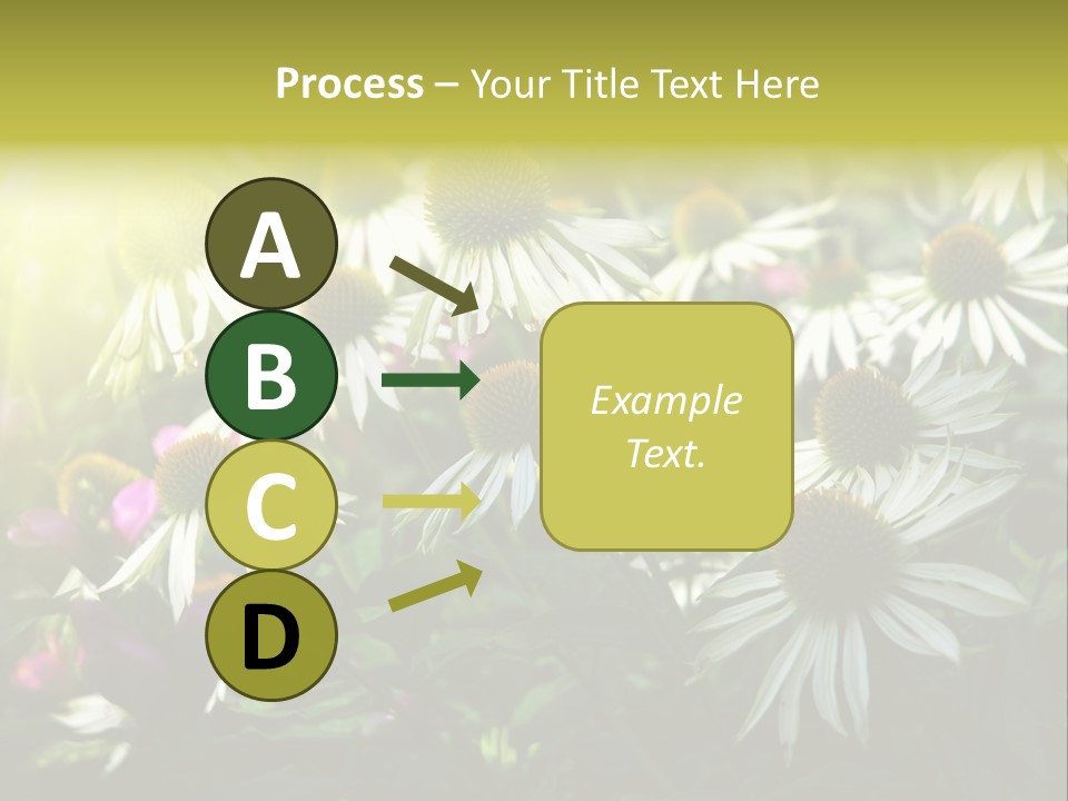 Foliage Blossoms White PowerPoint Template