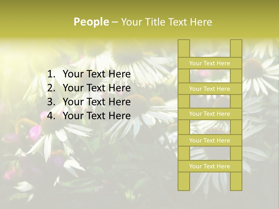 Foliage Blossoms White PowerPoint Template