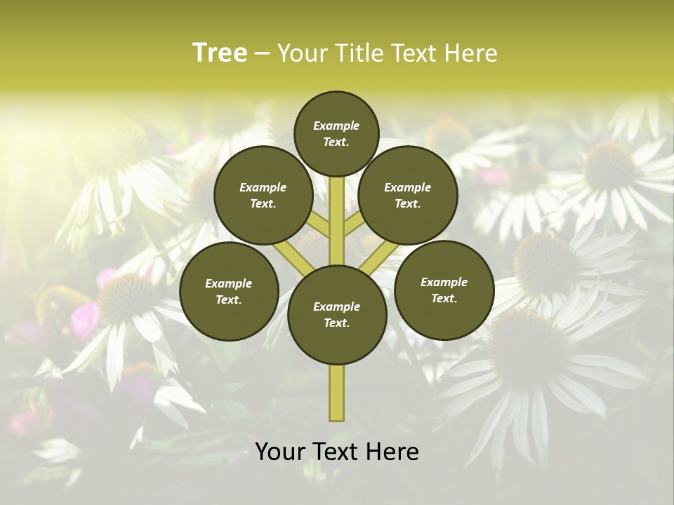 Foliage Blossoms White PowerPoint Template