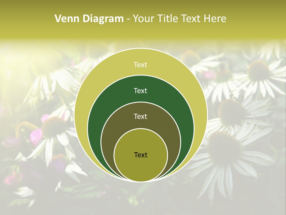 Foliage Blossoms White PowerPoint Template