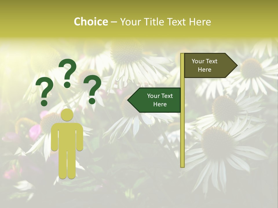 Foliage Blossoms White PowerPoint Template