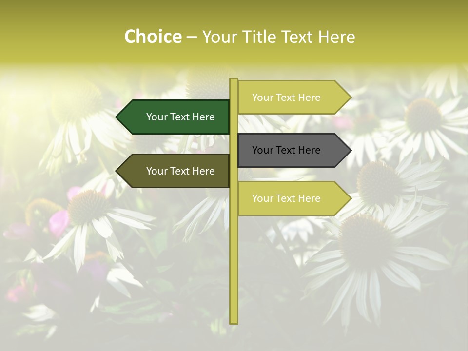 Foliage Blossoms White PowerPoint Template