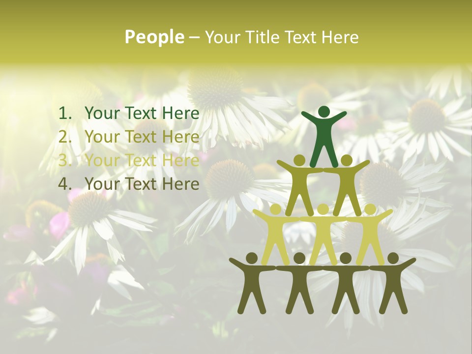 Foliage Blossoms White PowerPoint Template