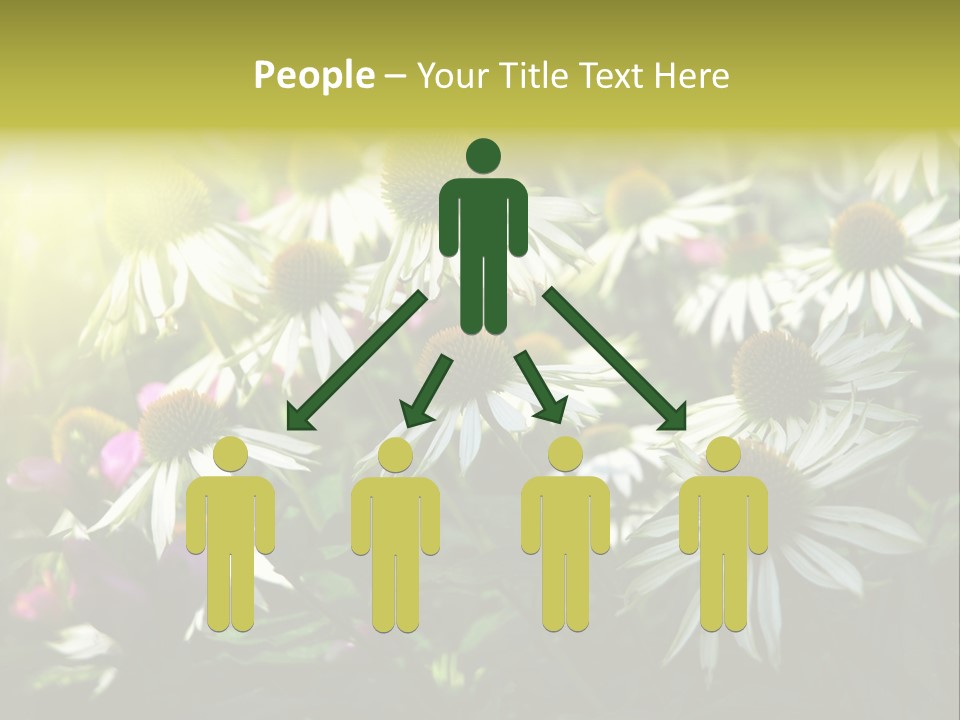 Foliage Blossoms White PowerPoint Template