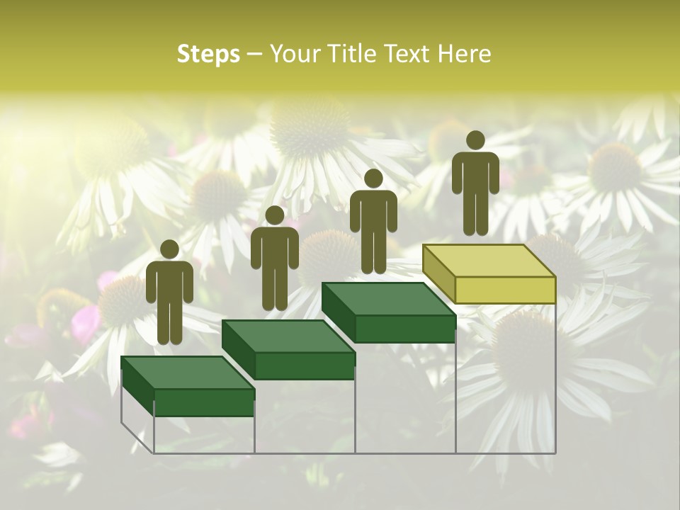 Foliage Blossoms White PowerPoint Template