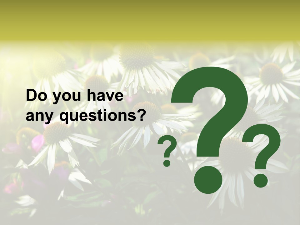 Foliage Blossoms White PowerPoint Template