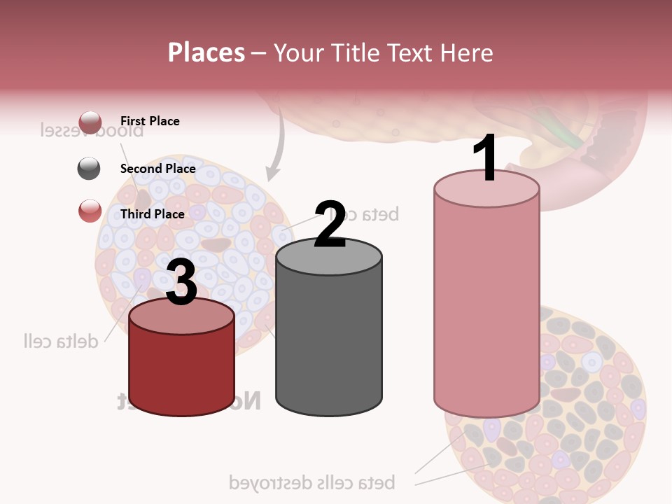Young Vector Study PowerPoint Template