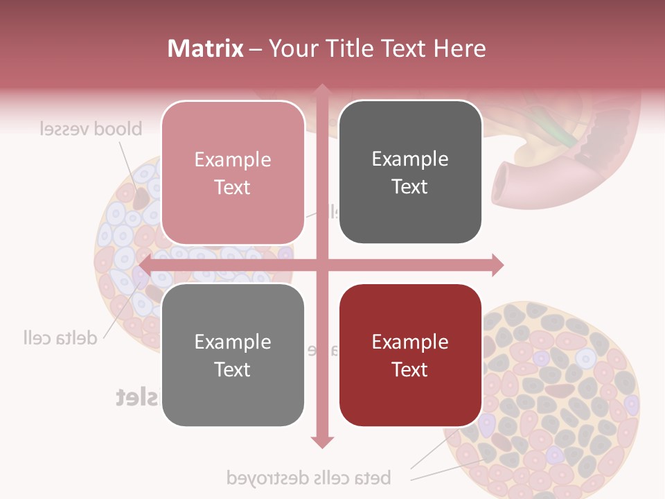 Young Vector Study PowerPoint Template