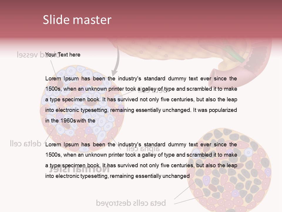 Young Vector Study PowerPoint Template