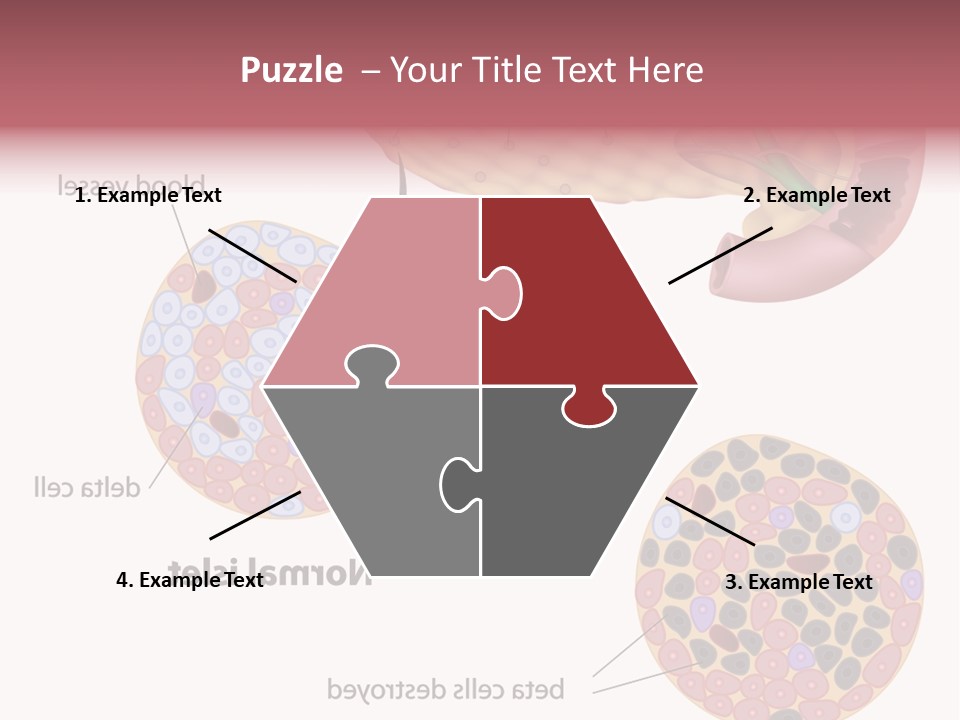 Young Vector Study PowerPoint Template